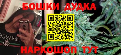 наркотики Кингисепп
