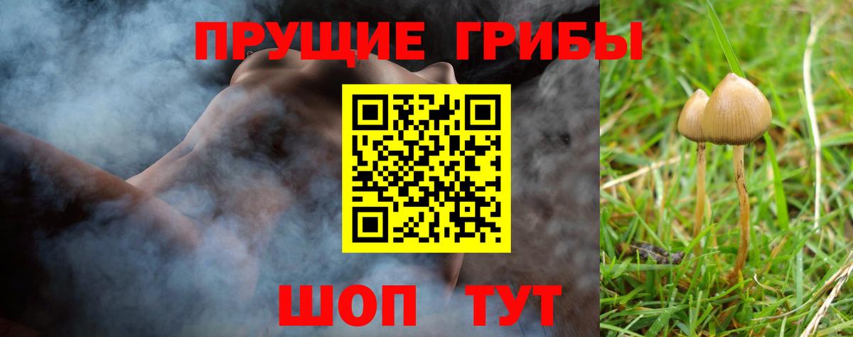 Псилоцибиновые грибы прущие грибы Комсомольск-на-Амуре